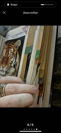 A person holding an open book with a tiger on it.