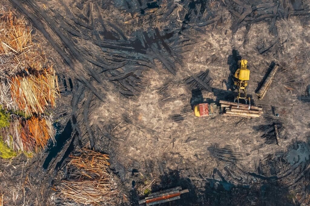 EU releases list of high-risk exporters linked to deforestation