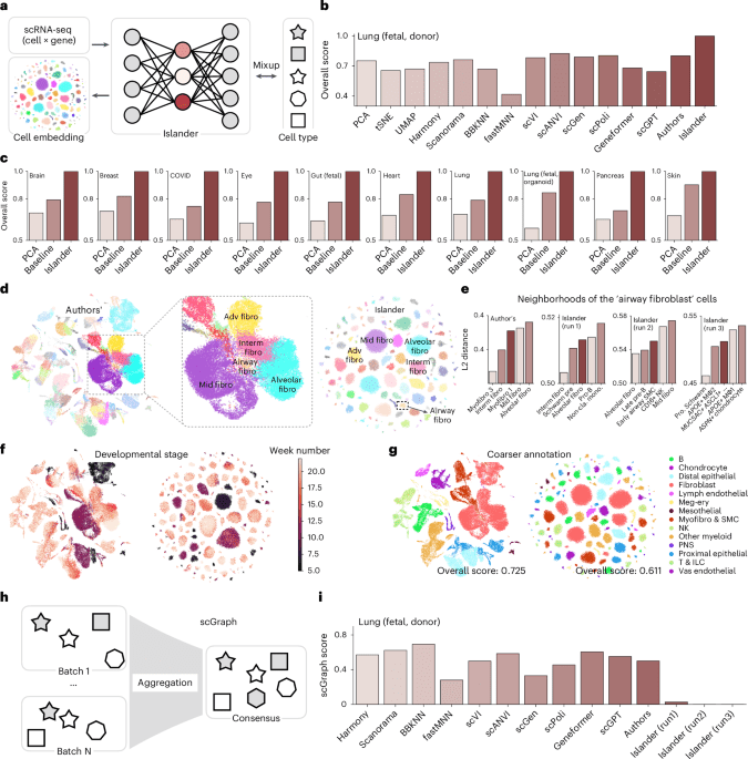 Limitations of cell embedding metrics assessed using drifting islands