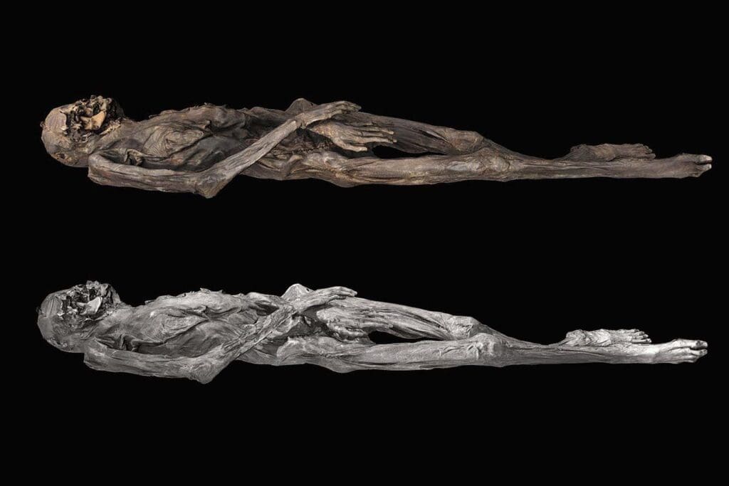 A 3D model of the tattooed mummy. The top image features textures derived from photographs that were captured using light visible to the human eye, while the bottom image