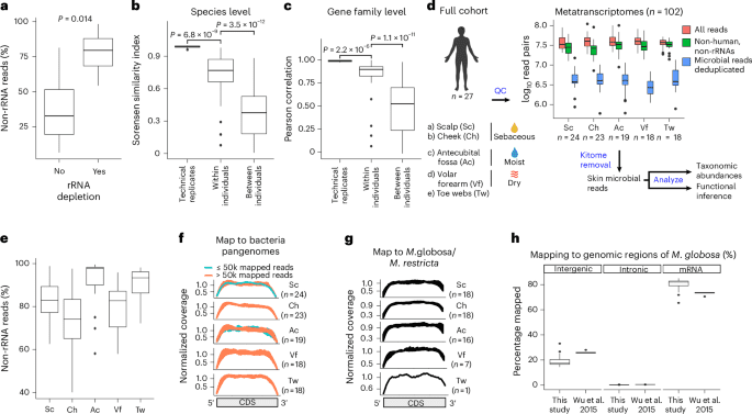 Skin metatranscriptomics exposes a landscape of variant in microbial task and genetics expression throughout the body Skin metatranscriptomics reveals a landscape of variation in microbial activity and gene expression across the human body