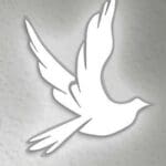 White silhouette of a flying dove.