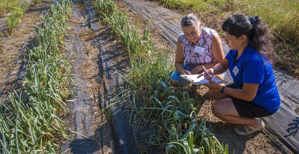 HBCU News – Agriculture Business Innovation Center at N.C. A&T to Kick Off with Two-Day Event HBCU News - Agriculture Business Innovation Center at N.C. A&T to Kick Off with Two-Day Event