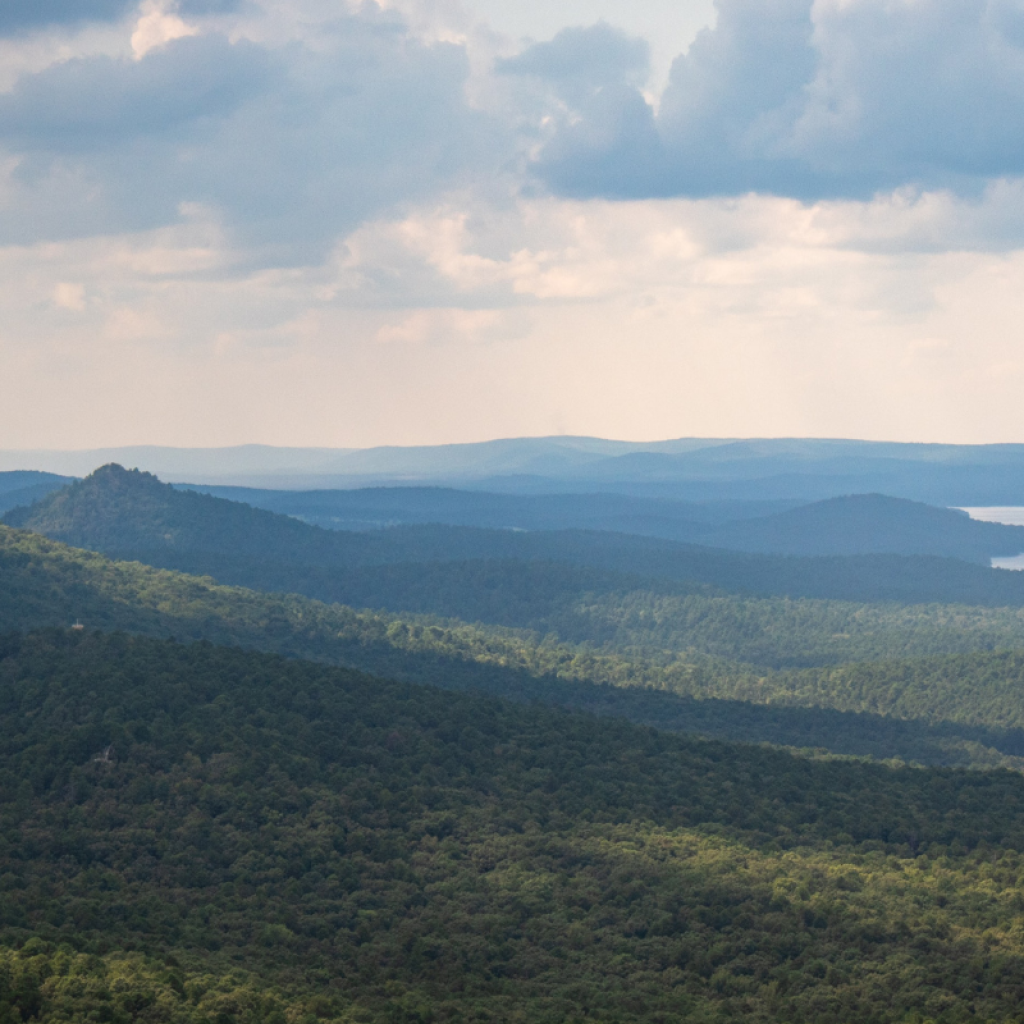 Arkansas, where you can sell a house by owner.