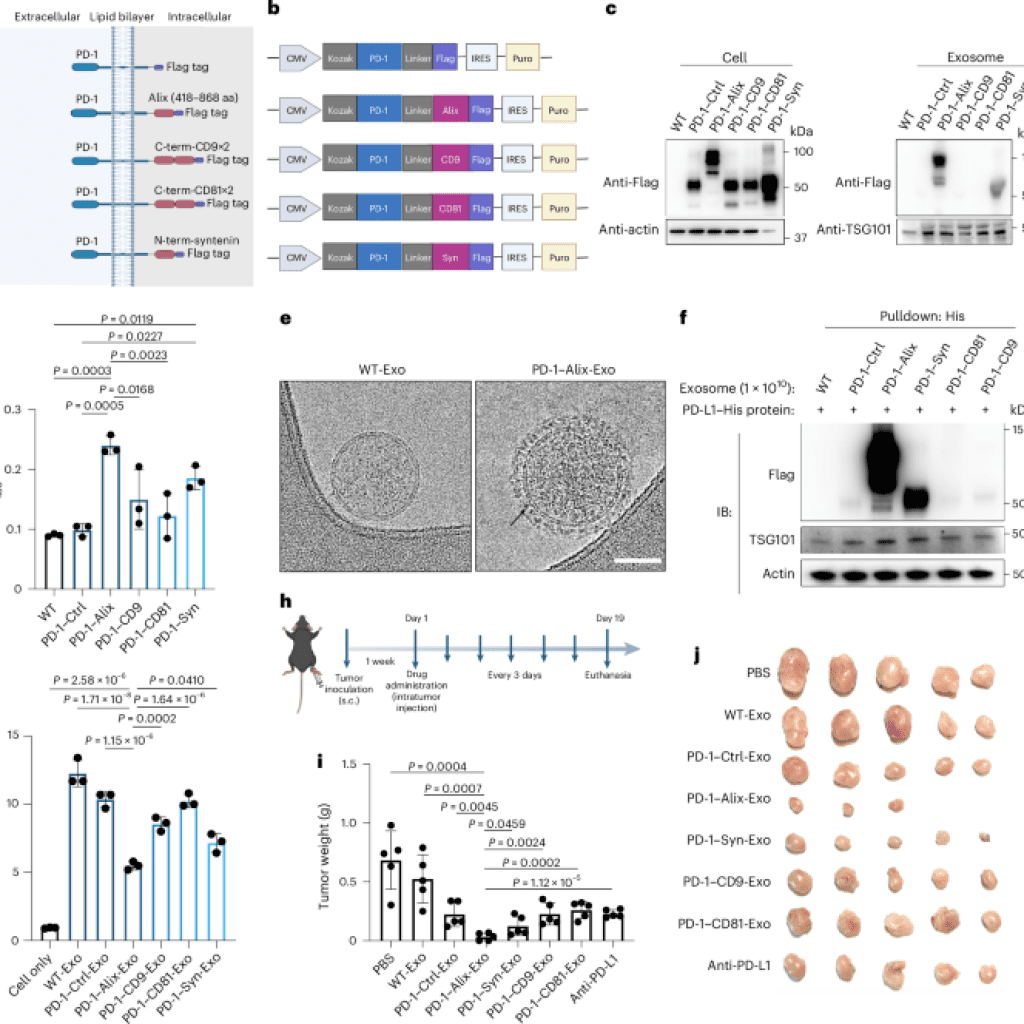 Engineering bispecific exosome activators of T cells to target immune checkpoint inhibitor-resistant metastatic melanoma